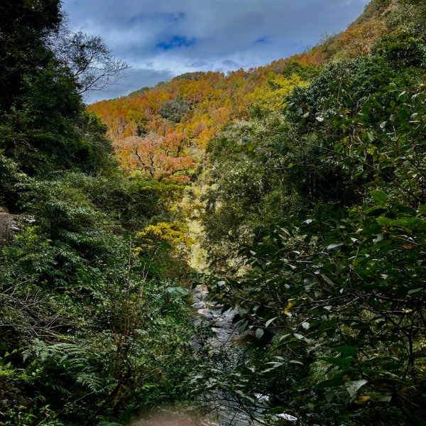 20241221 霞喀羅二天一夜露營賞楓2711954