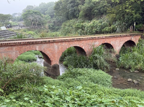 [樟之細路_第一大段RSA01] 2026_0329 大平紅橋3026635