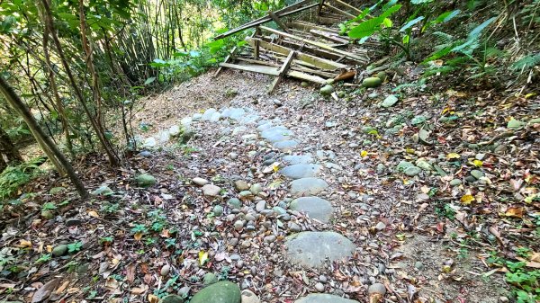 關西石光古道(面埔頂山295m)O型2082890