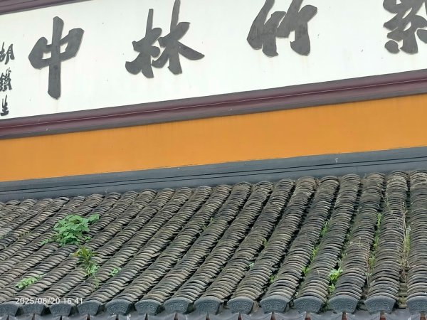 普陀山島：普陀山-紫竹林（觀世音道場）不肯去觀音&南海觀音2820340