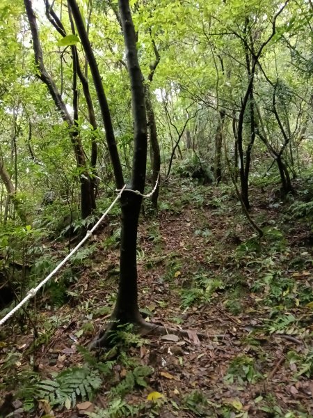 平溪區三功大厝+番子坑山+千階嶺步道O型2781133