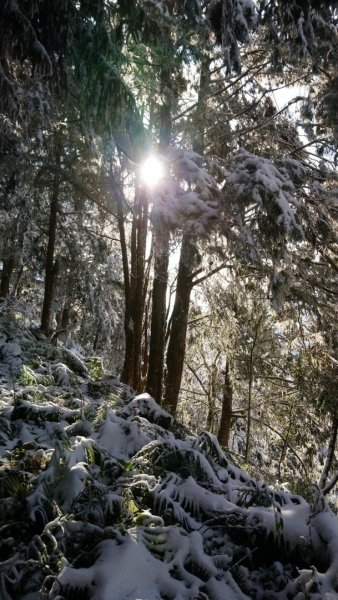 冰雪奇緣歷險記～加羅湖（未盡）1237604