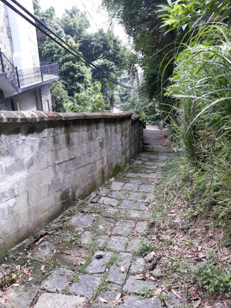 天母水管路步道(天母古道)及下竹林步道412347