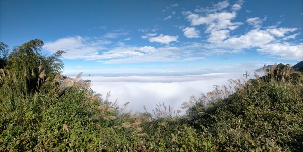 雲嘉連峰2365681