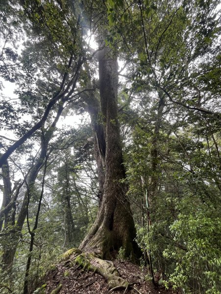 2025_0622 霞喀羅大山2819207