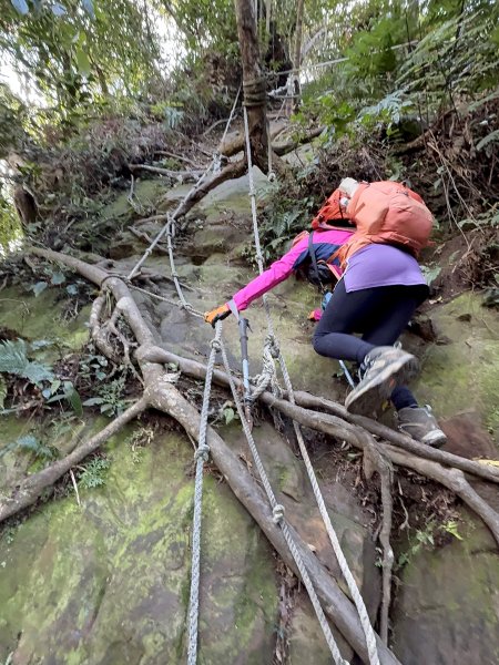 金面山-202503192770605