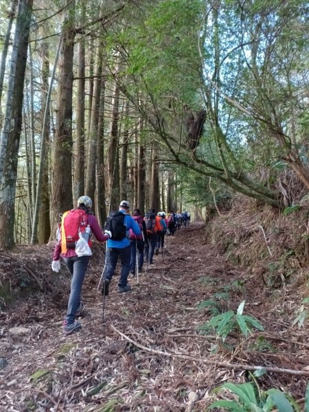 2022年02月13日(彰山協)南投日月潭四兄妹之中級山~大尖山縱走水社大山1613349