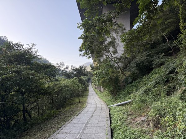 [淡蘭古道] 2026_0315 南路第二段_外按古道3016390