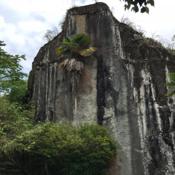 大凍山步道，頂湖出發935515