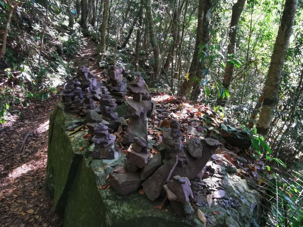 步道巡訪員 l 鳥嘴山步道11月巡訪日誌1161284