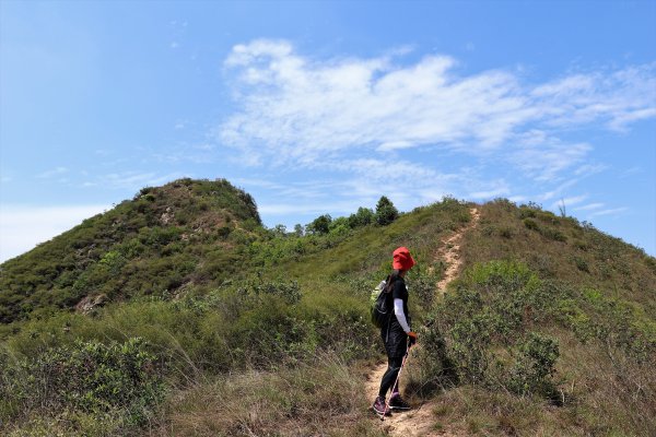 HK - 大石磨950006