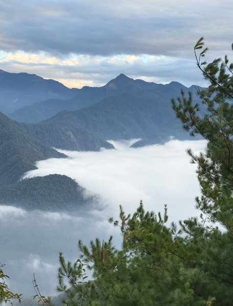 雪見遊憩區 探訪森林雪見之王2950860