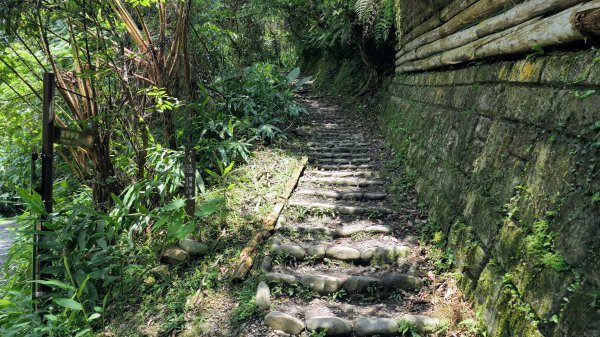 福山部落,內洞森遊區2552398