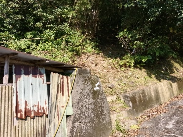 坪林區楣子寮尖+土地公遺址+火燒寮古道+枋山坑古道+枋山坑崙O型2985594