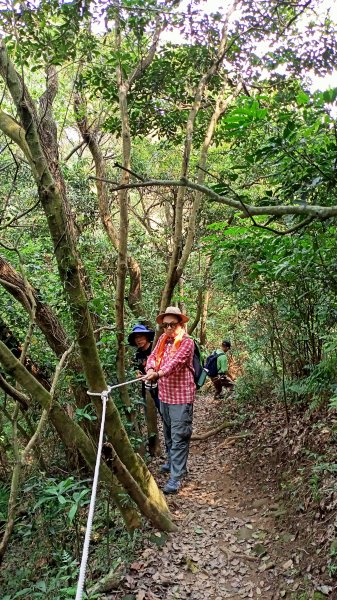 桃園蘆竹五酒桶山步道1328697