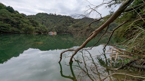114.06.14雙石縱走&石門水庫-石牛山之旅2812251
