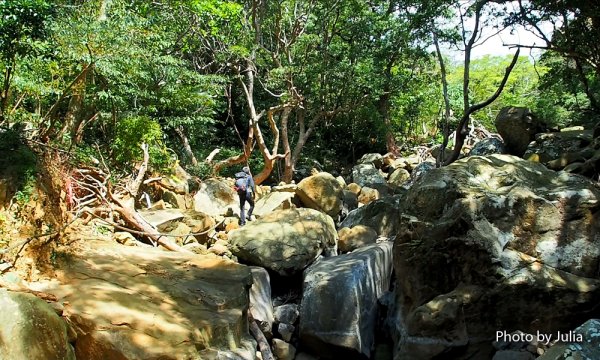 恆春半島第一高峰-里龍山(竹坑登山口入)878679