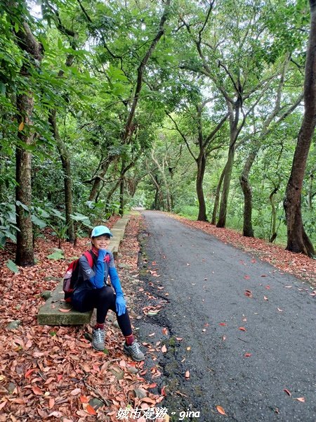 【彰化二水】綠樹成蔭。 松柏坑廟前登山步道2213011