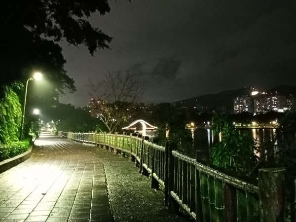 大湖公園《雨中夜行》1904698