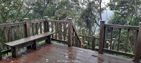 《苗栗》霧雨寒流｜三義三角山步道202512252969252