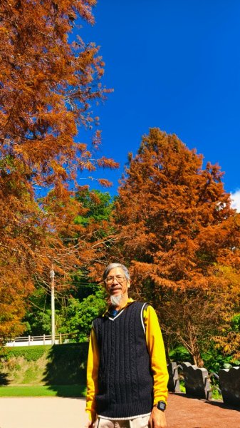#花卉試驗中心 #永公路500巷 #平菁街42巷 #原住民公園 #士林官邸 1/42976611