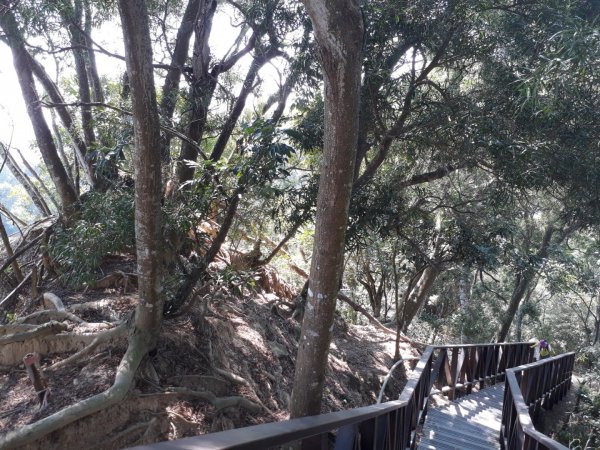 台中大坑步道7上6下20181027444581