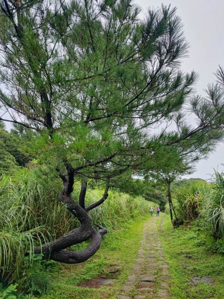 絹絲瀑布步道 - 走遍陽明山尋寶任務2268822