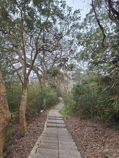 劍潭古道202503122734308