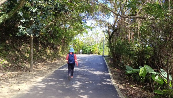 (姨婆趴趴走)第三十一集:新北金山獅頭山公園、神秘海岸、老街縱走2340232