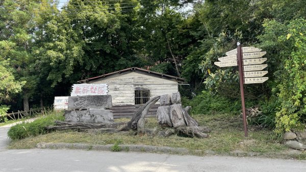 走入清晨19度c的上帝部落>>司馬庫斯(巨木群步道)1767402