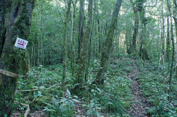 新北 烏來 波露山3000686