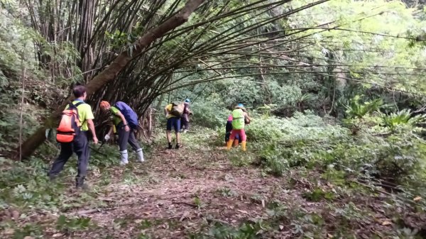 雙溪區烏山古道西線-大湖尾古道支線-大湖尾古道O型3098462