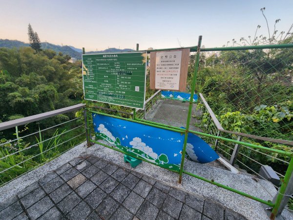 20250323慈湖草嶺山 ~ 五寮尖2781004