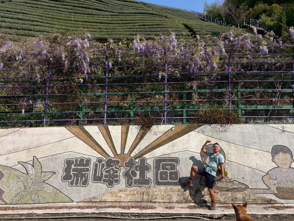 鼠眉毛縱走+進學古道+野薑花步道【戀上紫色山城的浪漫魅力】3042526