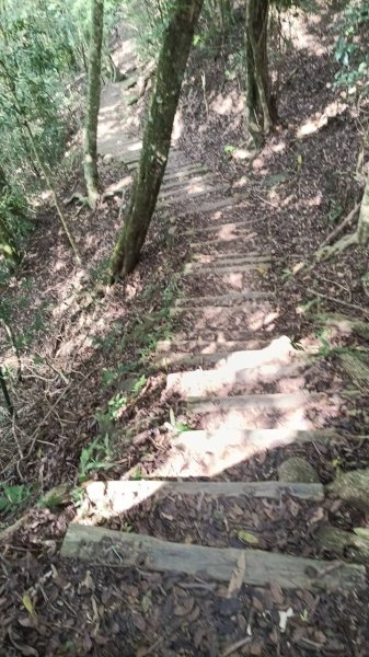 20251004 馬那邦山 - 珠湖 登山口2904767