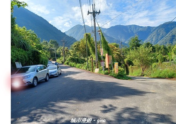 【台中和平】清風徐來蟬鳴聲。 谷關七雄~馬崙山步道2324396