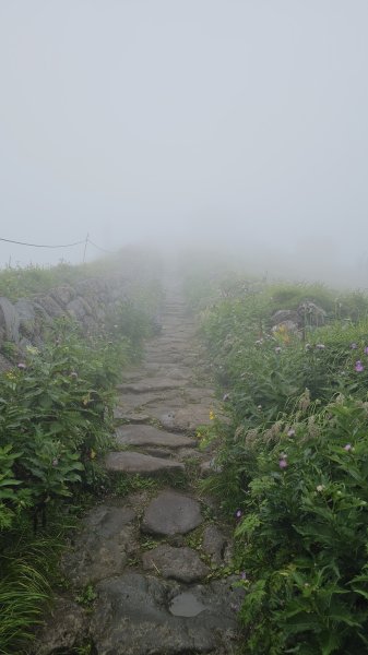 240811-山形信仰之山-月山（がっさん）。美美兔特選日本百名山之一。2603794