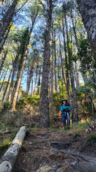 中央尖山四天20260412~153037964