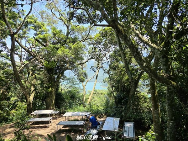 【桃園大溪】溪洲山步道(福山巖登山步道)3057156