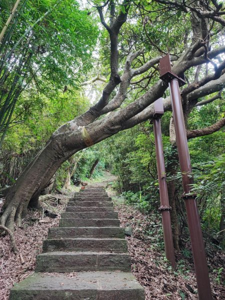 牛寮埔登山步道 - 2023觀音觀鷹尋寶任務2251339