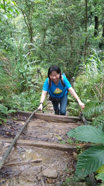 三貂嶺瀑布群446453