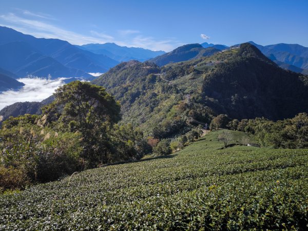 2025-12-21 武界山、獅凸魯山、橫屏山、橫屏山西峰2969680