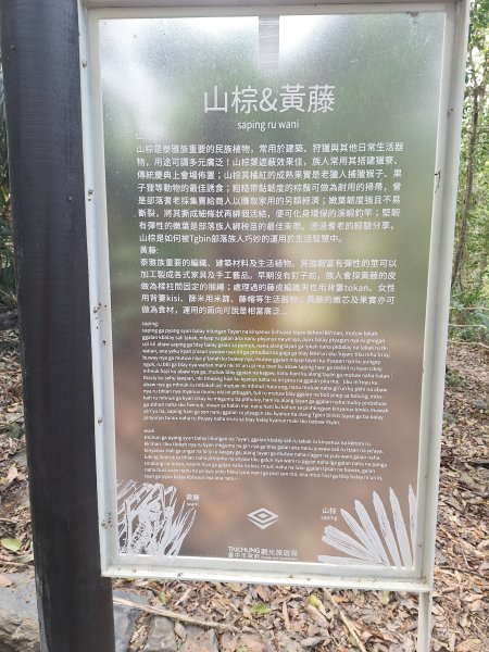 雪山坑步道202604223045716