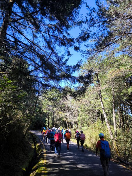 2025-08-24 塔塔加-大鐵杉-鹿林山莊-鹿林前山-鹿林山-黑森林-玉山登山口-上東埔2869082