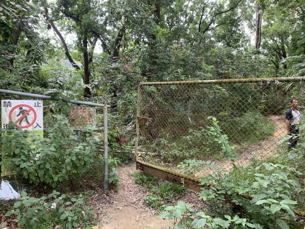 20250906台南糞箕湖山2881420