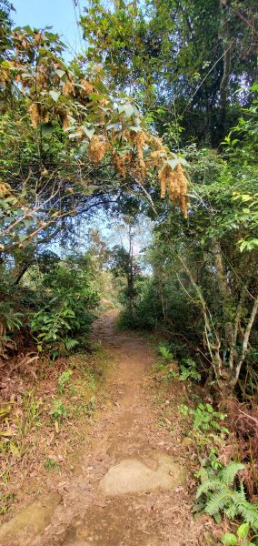 2022-01/09-桃園大溪-溪州山1578436