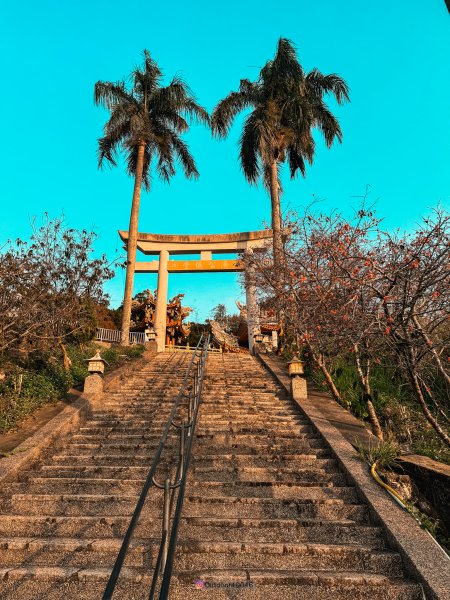 龍過脈森林步道2511524