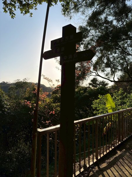 新北 林口 森林步道3015271