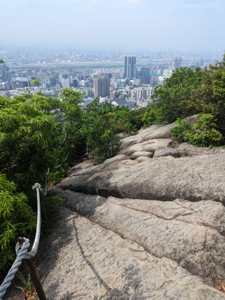 內湖金面山親山步道2484190