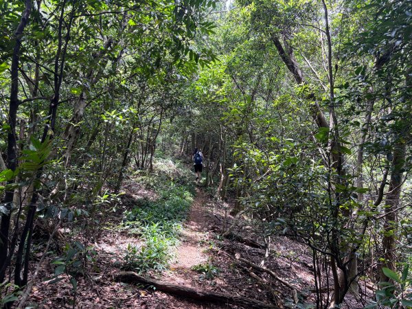 三段崎古道2835536